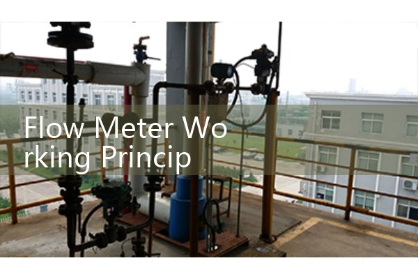 Flow Meter Working Principle PDF Download: Faraday’s Law, Transit-Time, and Coriolis Physics Manual